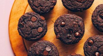 Protective Chaga Chip Muffin Recipe