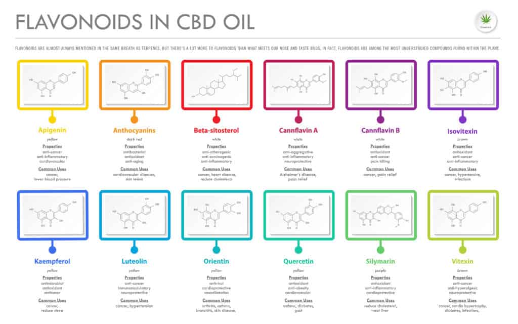 Flavonoids chart