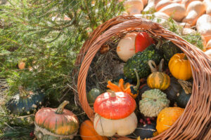 Mabon cornucopia to use during the autumn equionix 