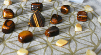 Tiger’s Eye: Crystal Courage