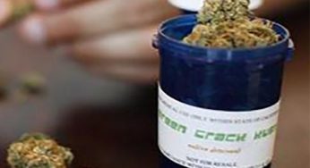 Cannabis Has Always Been a Medicine