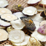 Maca root sliced and drying
