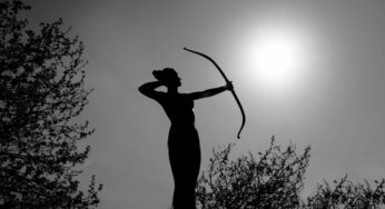 Awakening Artemis: Going to the Wild Side
