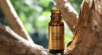 Best Way to Find Your Perfect CBD Dosage