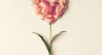 5 Best Herbs to Open Your Heart