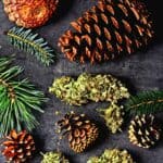 Alchemy | The Alchemists Kitchen
