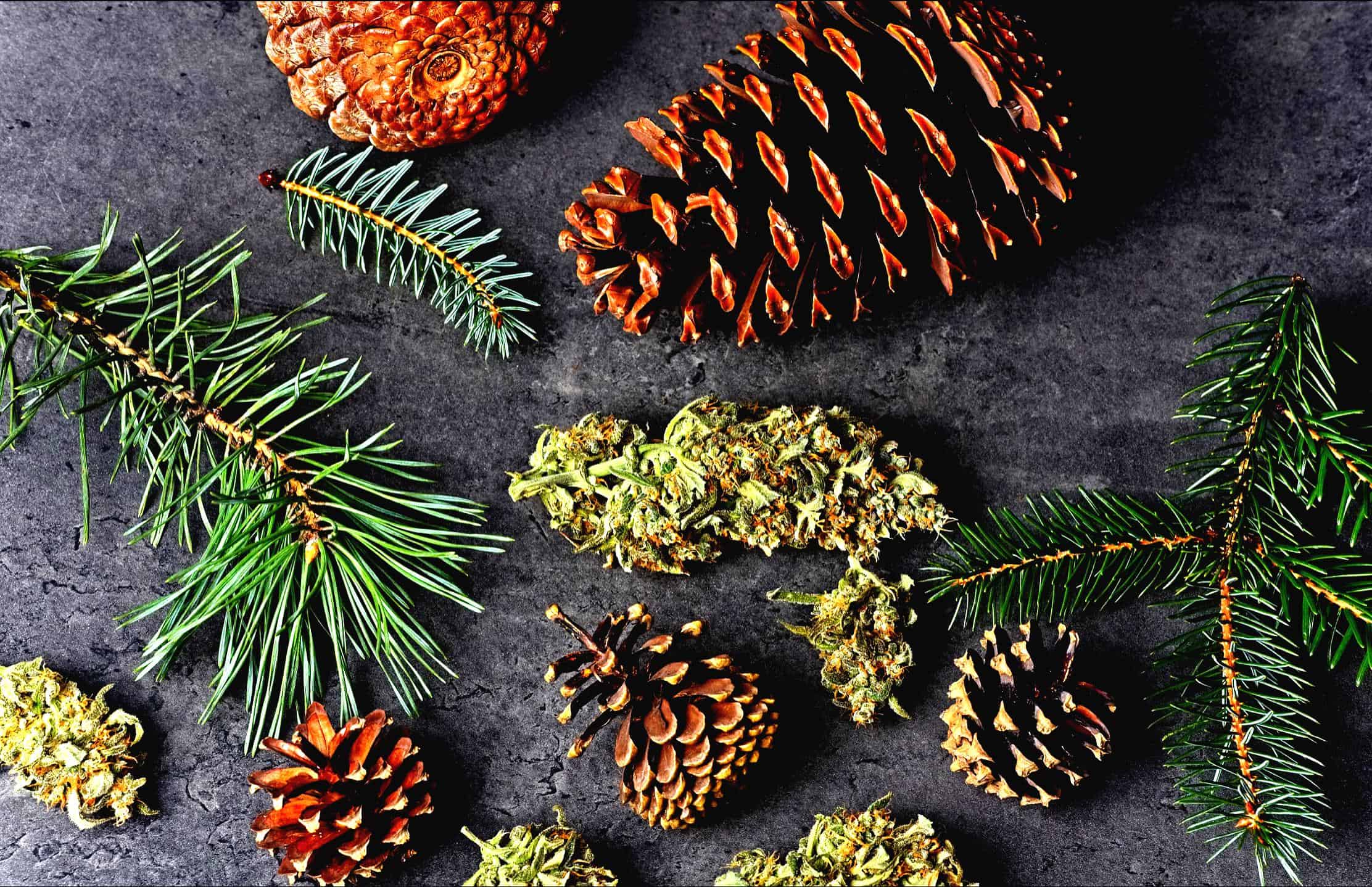 Alchemy | The Alchemists Kitchen