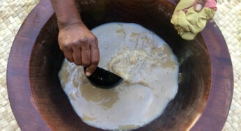 Kava: Euphoria and Relaxation