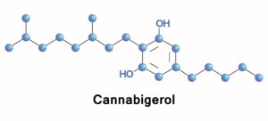 Cannabigerol molecule