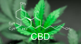 CBD and Beyond: A Cannabis Collaboration of Cannabinoids