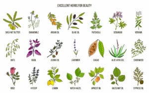 Herbs to use for beauty