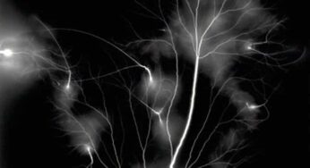 Aquarius New Moon: Electric Winds