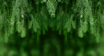 The 2022 Intentional Gift Guide