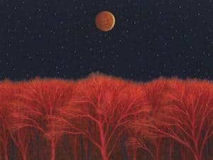 Full_Moon_Over_Red_Trees.JPG