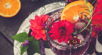 Bitters Guide: Digestive Effects, Benefits, Recipes