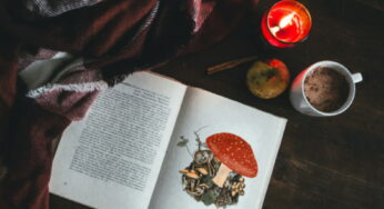 The Psychedelic Origins of Santa Claus