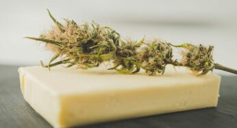 How to Make CBD Butter or Oil