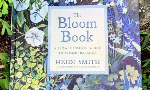 The Bloom Book Club with Heidi Smith
