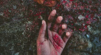 Everyday Witchcraft