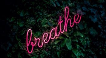 Five Adaptogenic Herbs for Times of Stress