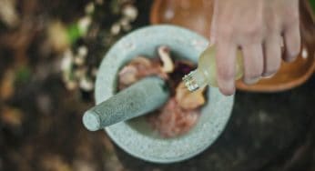 Ten Herbs for Better Digestion