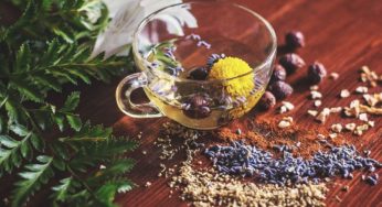 Adaptogens: Herbs for Strength, Stamina, and Stress Relief