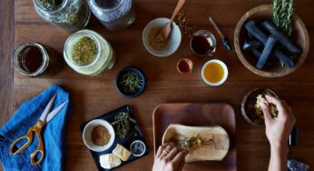 Back-To-School Herbal Aids to Boost Immunity