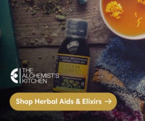 Herbal Aids for Spring