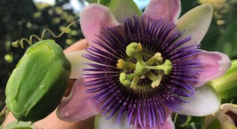 The Astrology of September 2019: The Beauty of Imperfection