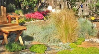 Turn your Lawn into a Food Forest