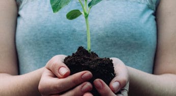 Slow Living for Earth Day