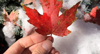 The Astrology of December 2019: A Pivot Point