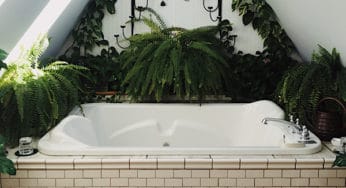 Baño Santero for The New Year