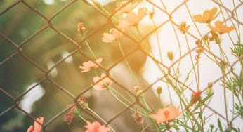 WTF is Wellness: Pain is the Great Human Connector