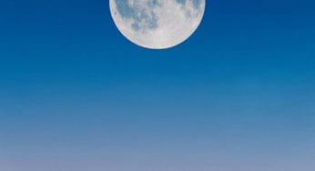 Sheer Lunacy: Herbal Allies for Every Phase of the Lunar Cycle