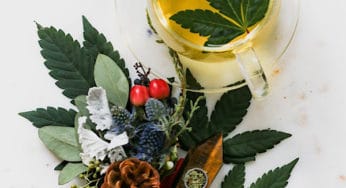 CBD, CBG, and You: There’s a New Cannabinoid in Town