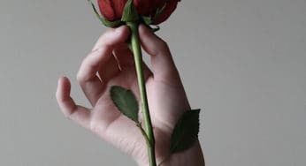 5 Best Aphrodisiac Herbs to Spice Up Your Sex Life