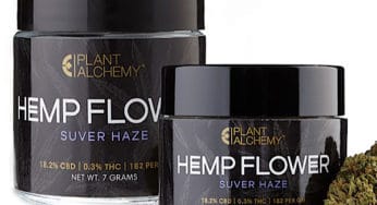 Purchasing Hemp Flower in New York State
