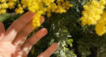 The Astrology of March: Healing Ourselves, Healing the World