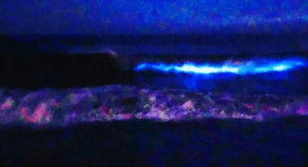 Scorpio Full Moon: Phosphorescent Waves