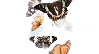 WTF is Wellness: WE ARE ALL BROKEN