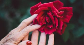 Herbs for Alzheimer’s Disease