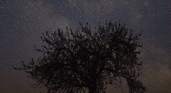 Indigenous Community Organizations To Get Involved With