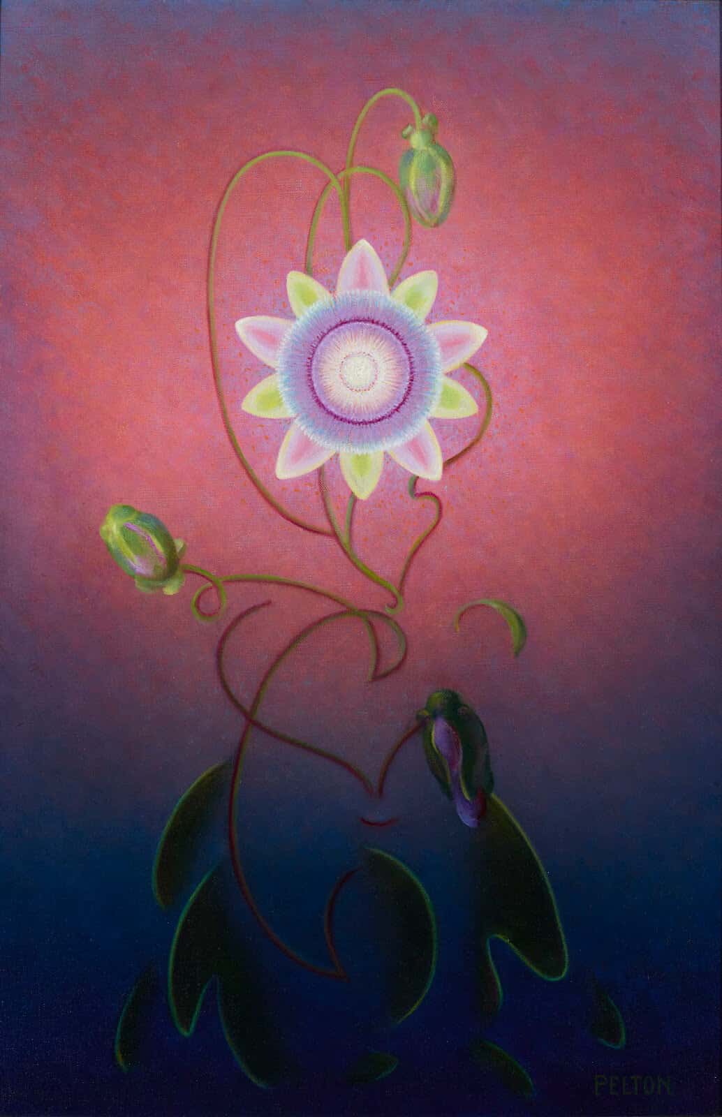 Wisdom Blog Leo Full Moon