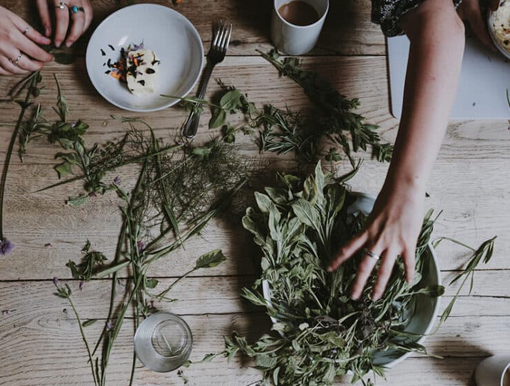 Introduction To Herbalism