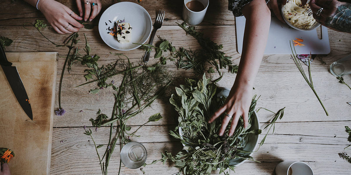 Introduction To Herbalism