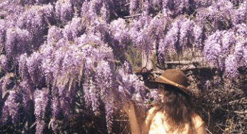 Magical Herbalism: An Interview with Witchy Herbalist & Sister Spinster Founder Liz Migliorelli