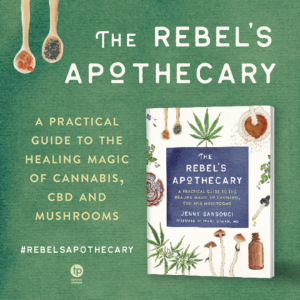 The Rebel's Apothecary Book Cover