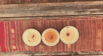 Medicine for the Dreamer: Interview with La Abeja Herb’s Sophia Rose