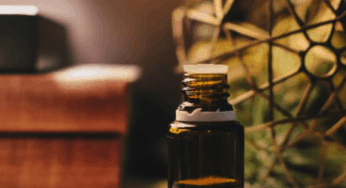3 Botanical Oils for Beauty, Bliss and Beyond